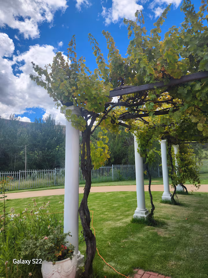 the pergola at De Kleine Kaap